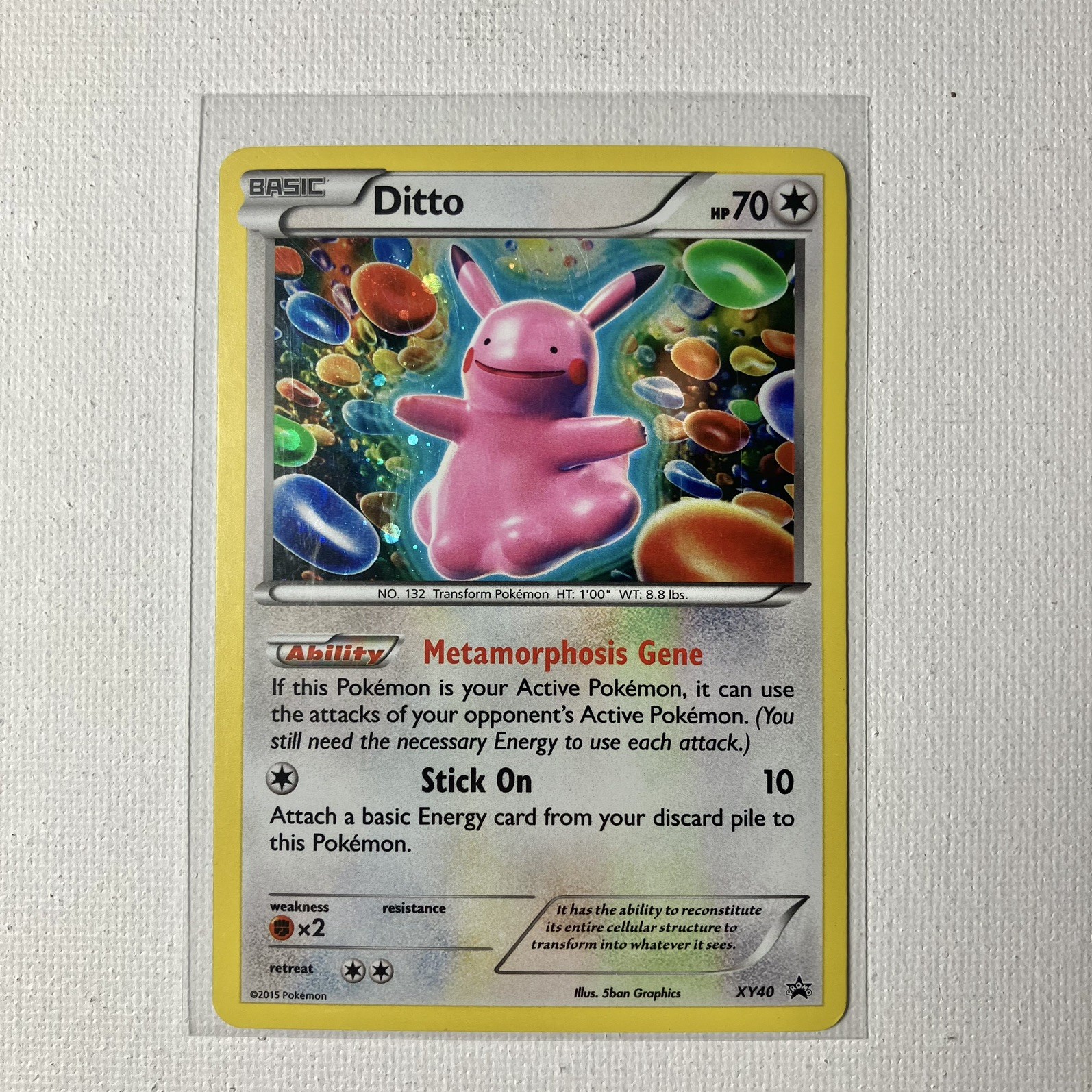 Ditto XY40 - Holo - Pokemon Black Star Promo - XY 2015 - LP