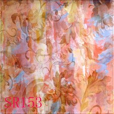 Texture 8'x8' Computer-painted Scenic Photo background backdrop SR153B88