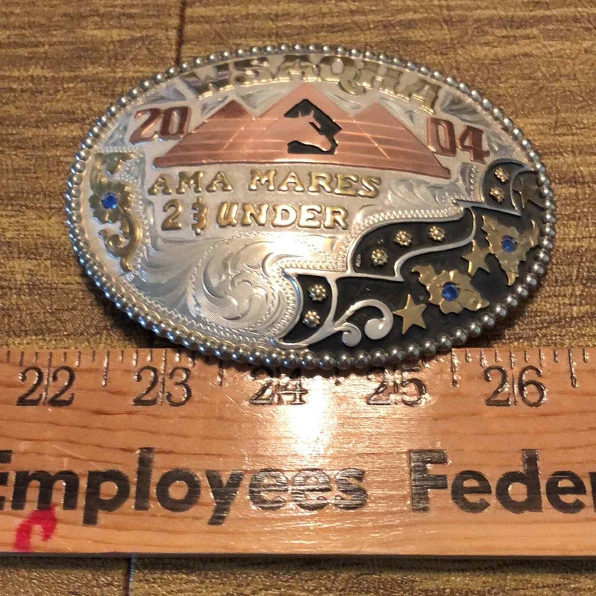 Frontier Brand WSAQHA Quarter Horse Trophy Award Belt Buckle | eBay