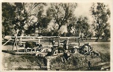 Egypt Egyptian irrigating wheel photographic postcard