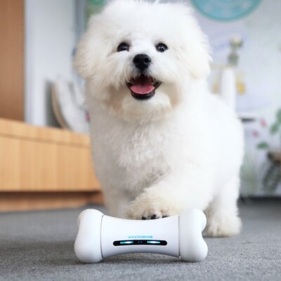 Smart Bone, Automatic & Interactive Toy for Dog, Puppy and Cat, App Wickedbone
