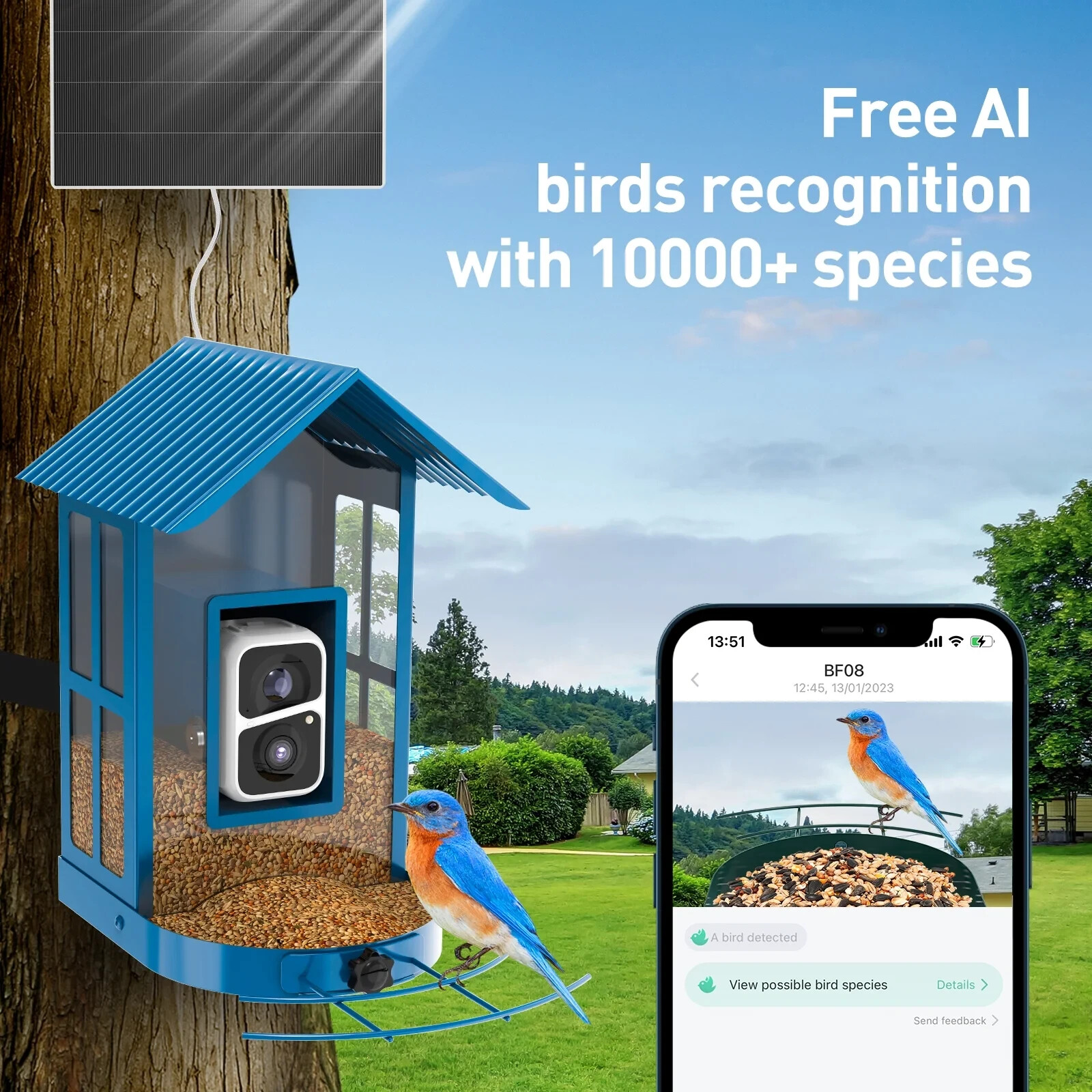SOLIOM® BF08 BLUE Metal Bird Feeder Camera with Smart AI Identify Bird Solar