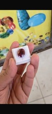 Natural certified Red Ruby 12.02 TCW Oval Mix Cut Gemstone