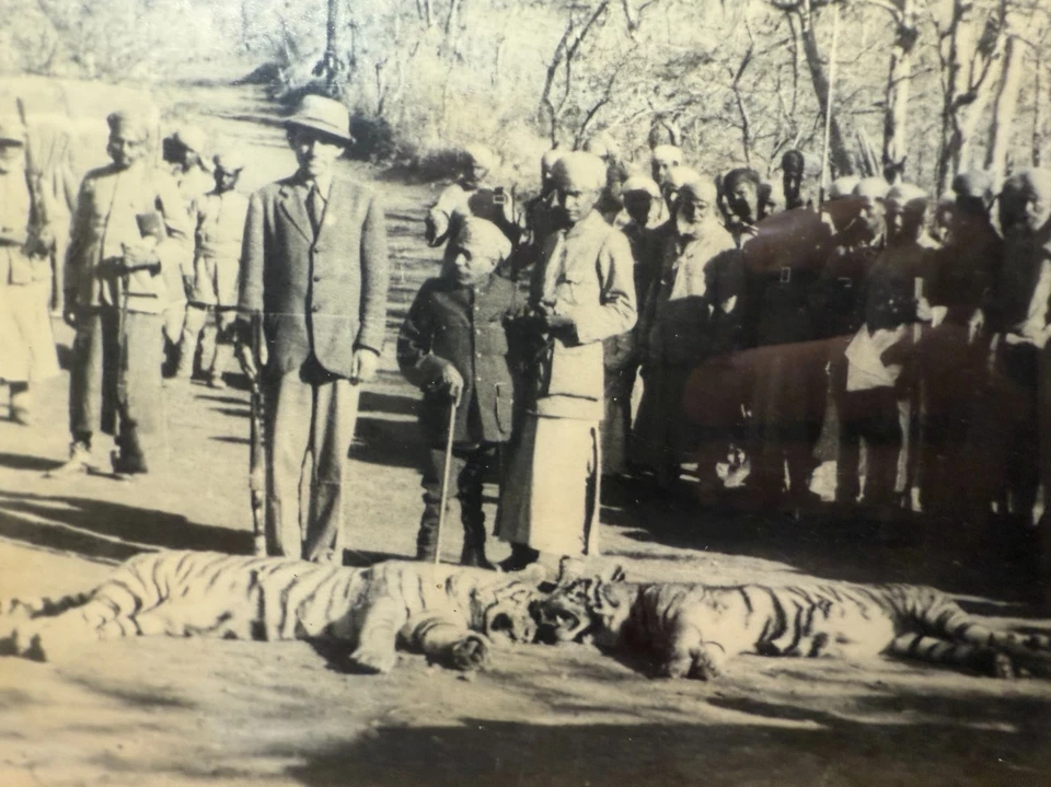 Fotografías antiguas originales del siglo XIX enmarcadas indias dobles caza de tigres sepia Foto 4 de 4