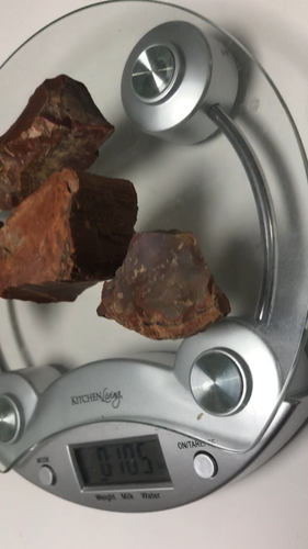 Lot of 4 Small Petrified Wood Peices 10.5 oz. - Video 1 of 1