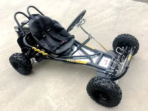 Adult dune sales buggy