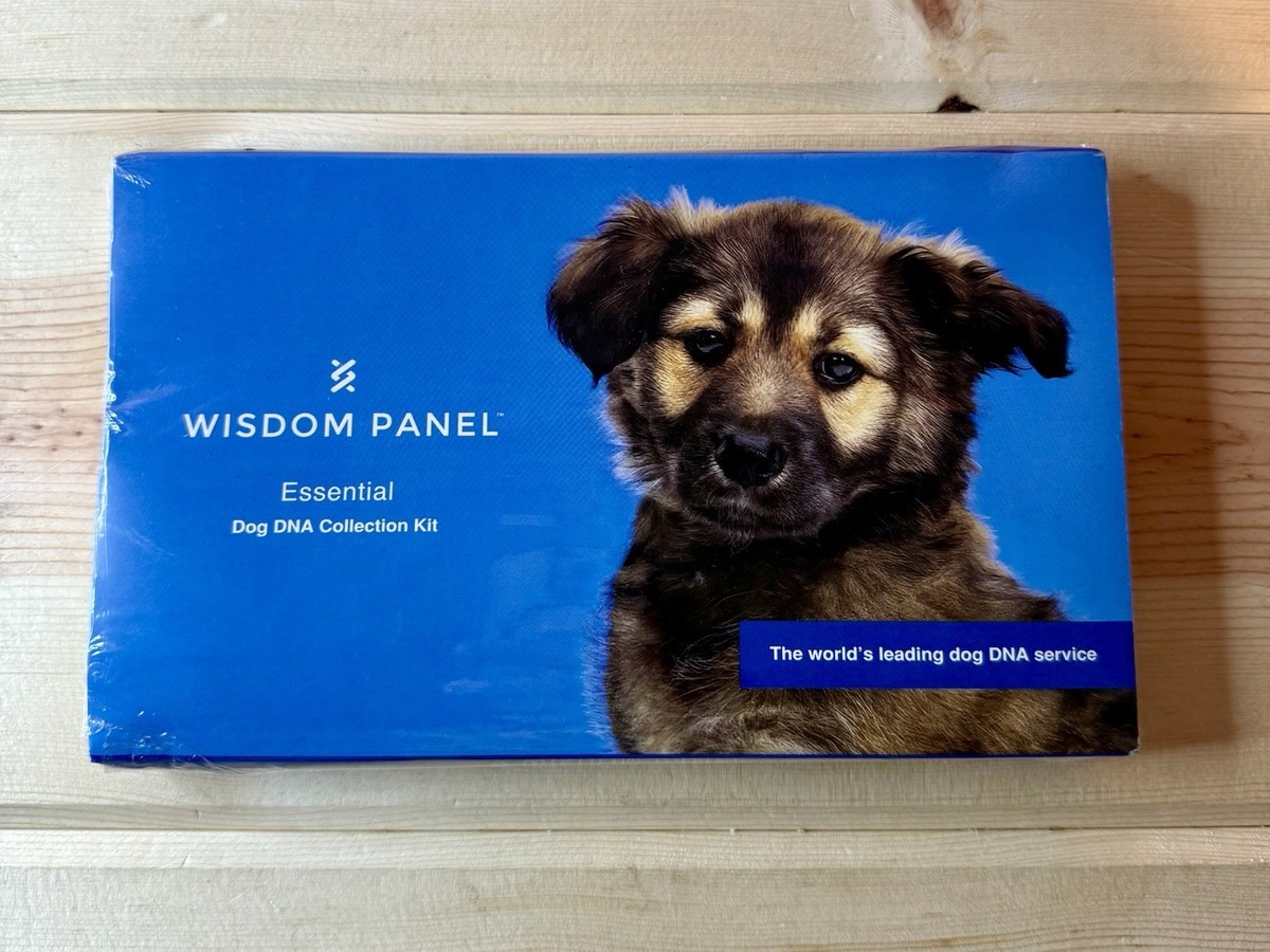 German Shepherd Best Dog Dna Test Kit Reviews Wisdom Panel