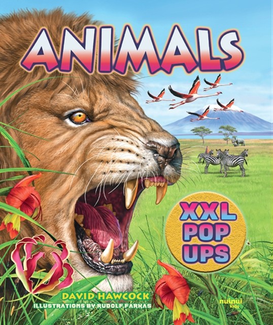 Animals XXL pop-ups by David Hawcock (Hardback Book)