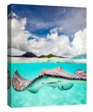 Epic Graffiti "Stingray" by Jesse Estes, Giclee Canvas Wall Art