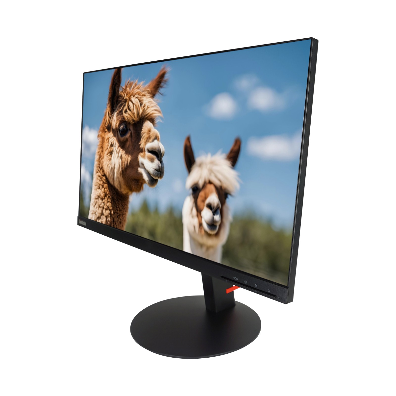 Lenovo ThinkVision P24h-10 23,8 Zoll Monitor QHD IPS Display 2560x1440 Pivot sg
