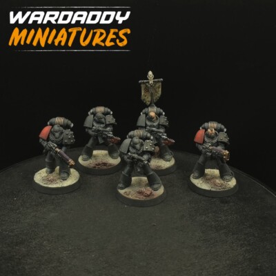 Pro Painted Warhammer 40k Space Wolves Horus Hersey Marines ×5 LH5 30k GW