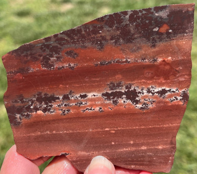 Apache Canyon  Mimbres Picture Jasper 4.1''x3.6'' Lapidary Rough Slab M5