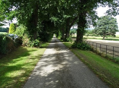 Photo A2 Tree lined avenue leading to Banks Hall, Cawthorne Cawthorne/S c2016