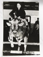 Girl Kathi Mosl Riding Jumping Cow Mary Hurdle Austria 1973 VTG Press Photo