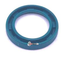 DICHTOMATIK NAK 19X27X4 mm Perbunan Metric OIL SEAL With LIP And SPRING