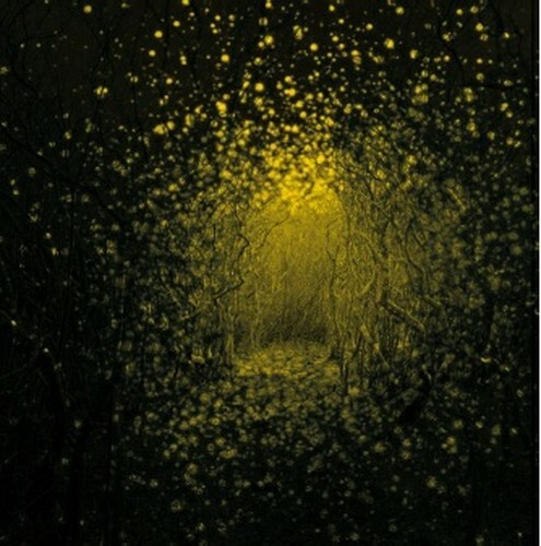 Audio Cd Antlers (The) - Burst Apart