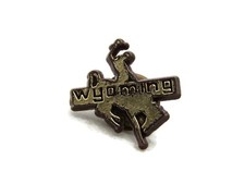 Wyoming Lettered Pin Rodeo Horse & Rider Gold Tone