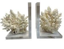 MCM 1960's decorative coral bookends with Lucite base Unique Decor Rare