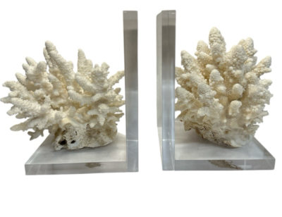 #ad MCM 1960#x27;s decorative coral bookends with Lucite base Unique Decor Rare $99.00
