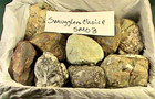 Lot of 16 Jasper Agates Smugglers Choice, Lapidary Rocks, 30 LBS, 3 OZ, #SM03 — photo 1