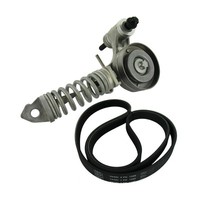 SKF Keilrippenriemensatz Vkma 35213