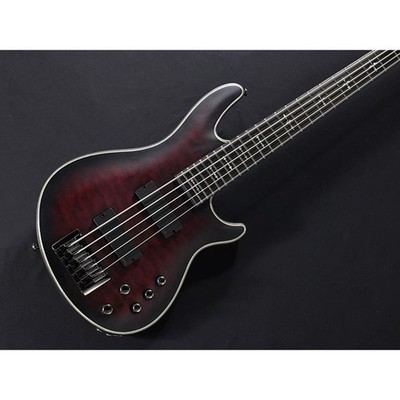 SCHECTER Hellraiser Extreme-5 Used Crimson Red Burst w/Gig case