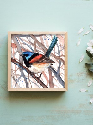 Fairy Wren original watercolor bird painting  art 6x6 in birds by Anne Gorywine
