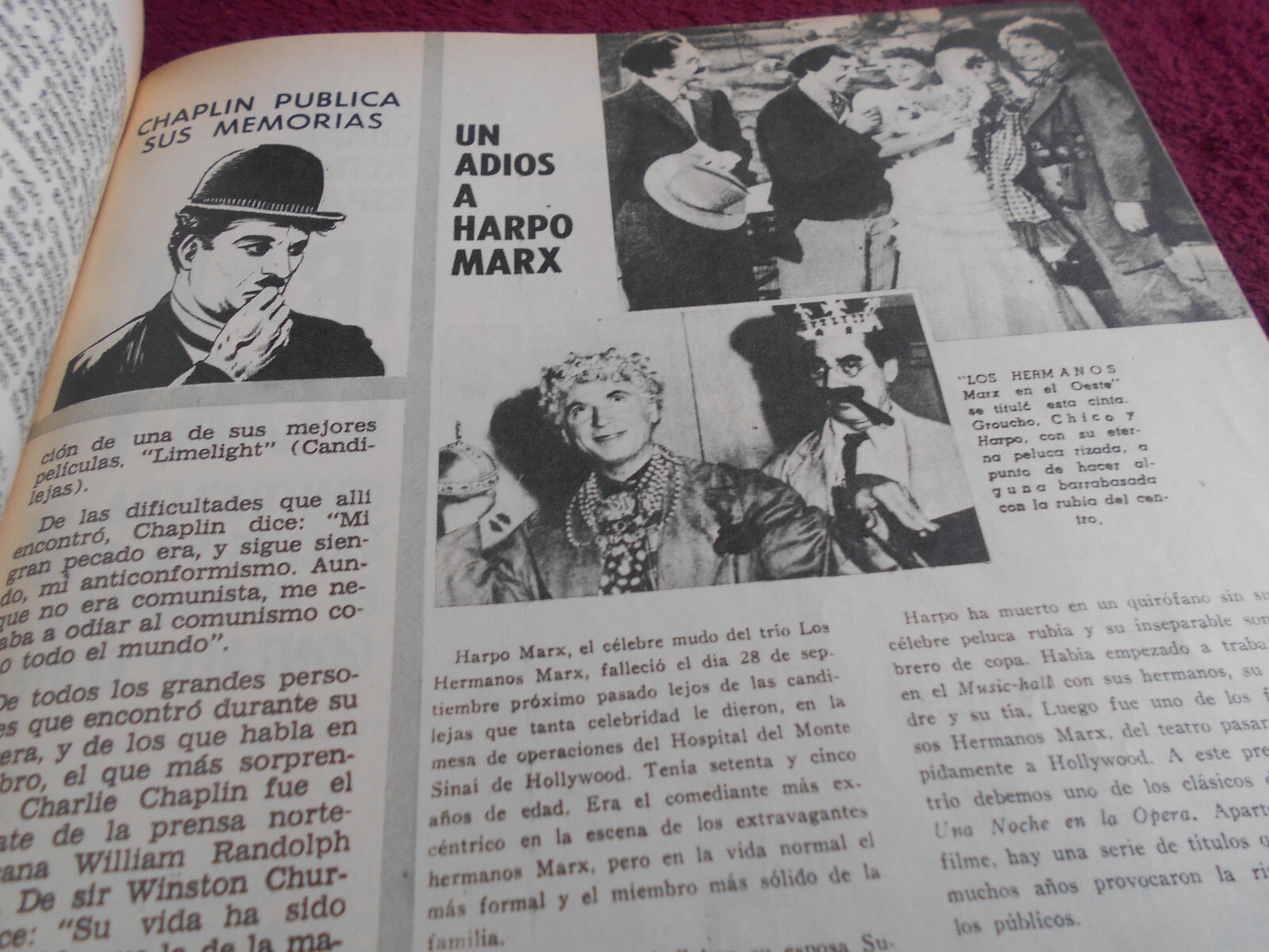 Imagen 12 de 20