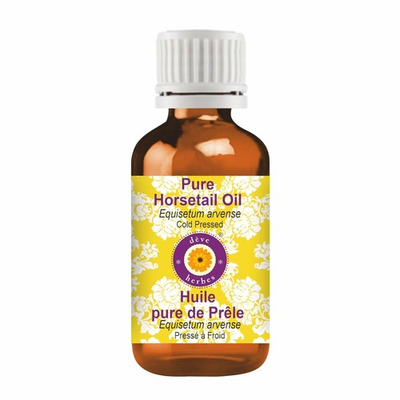 #ad Pure Horsetail Oil Equisetum arvense Cold Pressed Oil for Skin Hair amp; Massage $100.69