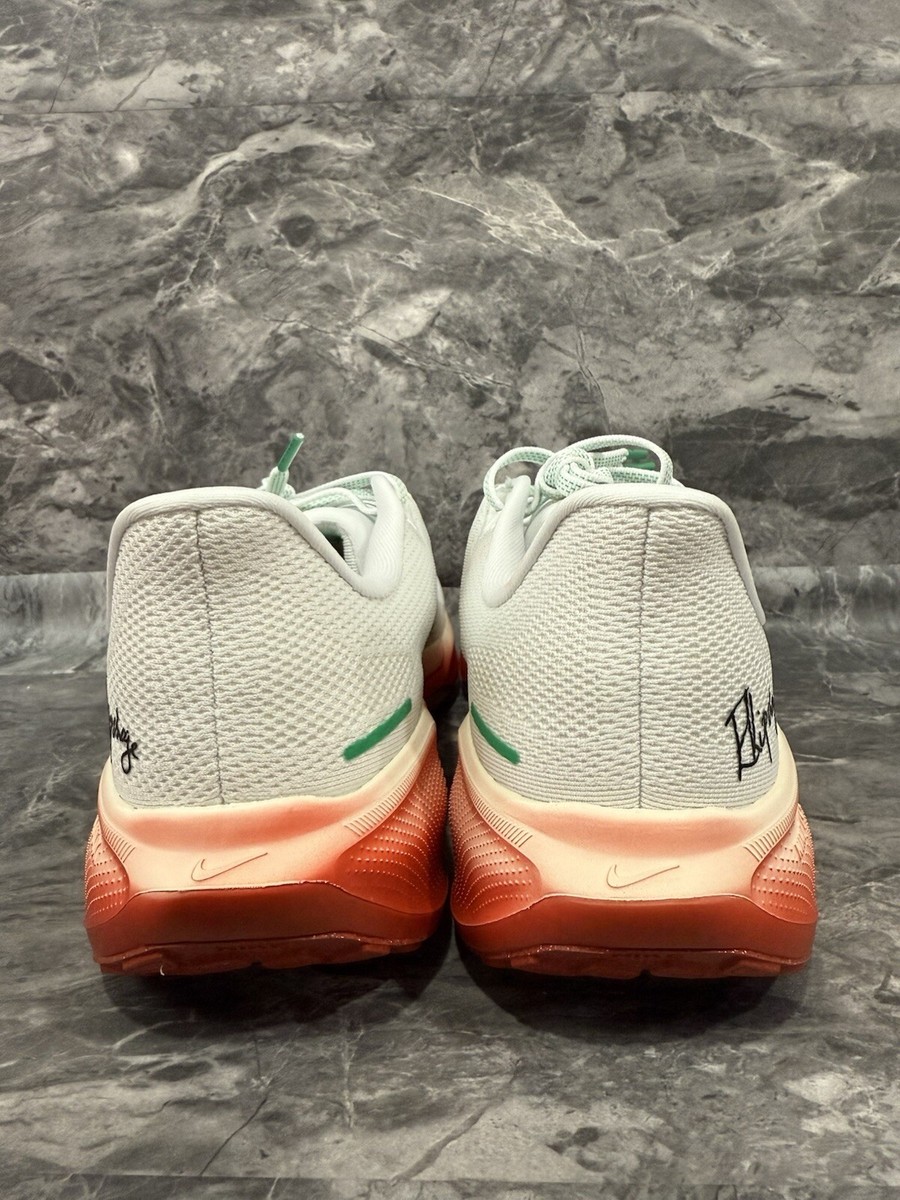 ★激レア★Nike Air Zoom Urweltraupen　27.5㎝ org.jpg