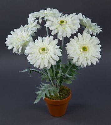 Gerbera 45cm weiß im Topf LM Kunstpflanzen künstliche Pflanzen Kunstblumen