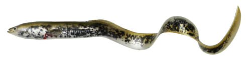 Savage Gear New 3D Real Eel 15 20 30 40 cm Regular, PHP & 2025 Farben Loose Body - Bild 13 von 25
