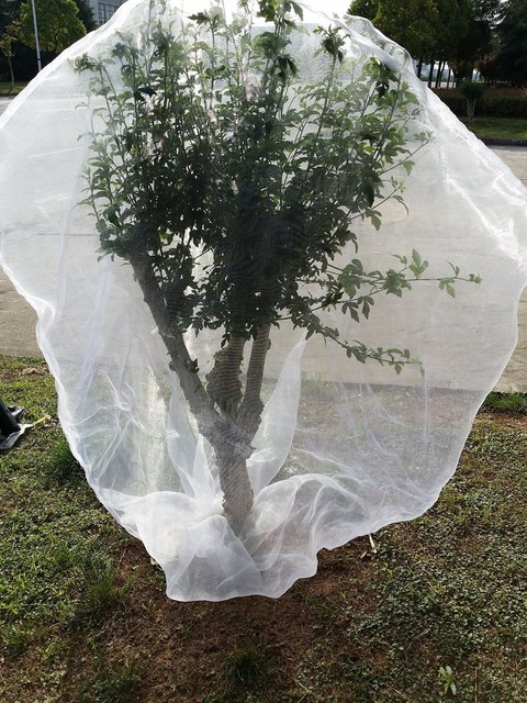 Agfabric Plant Cover,72"-W X 72"-H In-Shape Bag With Rope,Insect Barrier, Insect Netting (645905996890)