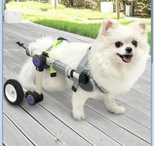 Adjustable Dog Wheelchair for Back Legs Mobility Support Lightweight Size XS