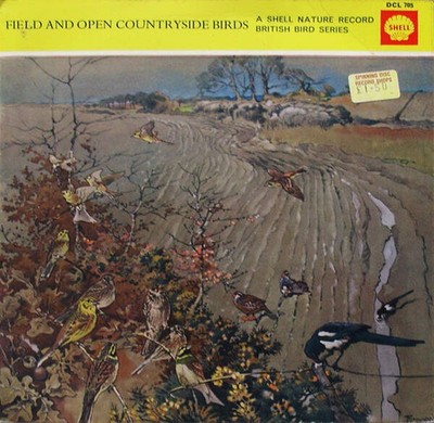 Lawrence Shove - Field And Open Countryside Birds (VINYL)