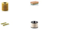 MANN-FILTER Inspektionspaket Filtersatz XL Feinstaubfilter (PM 2.5) für CITROËN