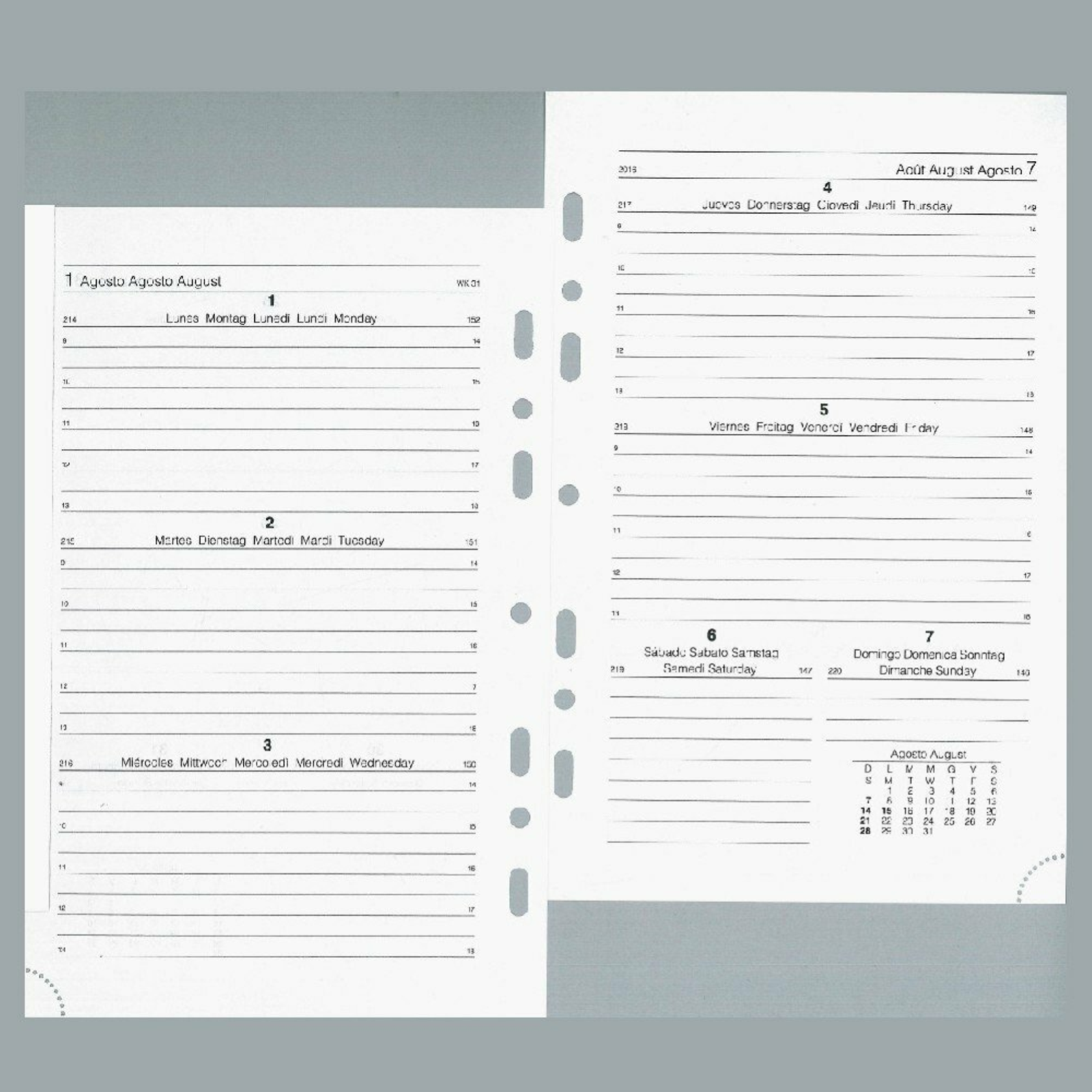 RICAMBIO CALENDARIO SETTIMANALE LARGE BIANCO 15X21 2022