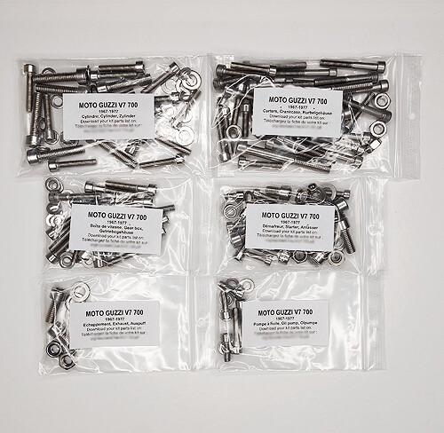 Kit tornillos allen inox motor Moto Guzzi V7 700 et Polizia de 1967 à 1977