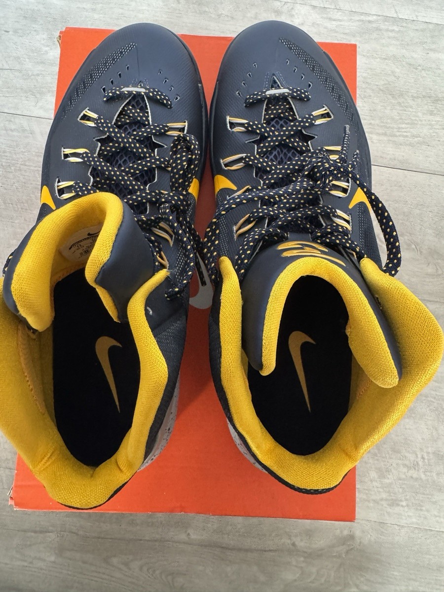 Size 11 - Nike Hyperdunk 2014 PE Paul George for sale online | eBay
