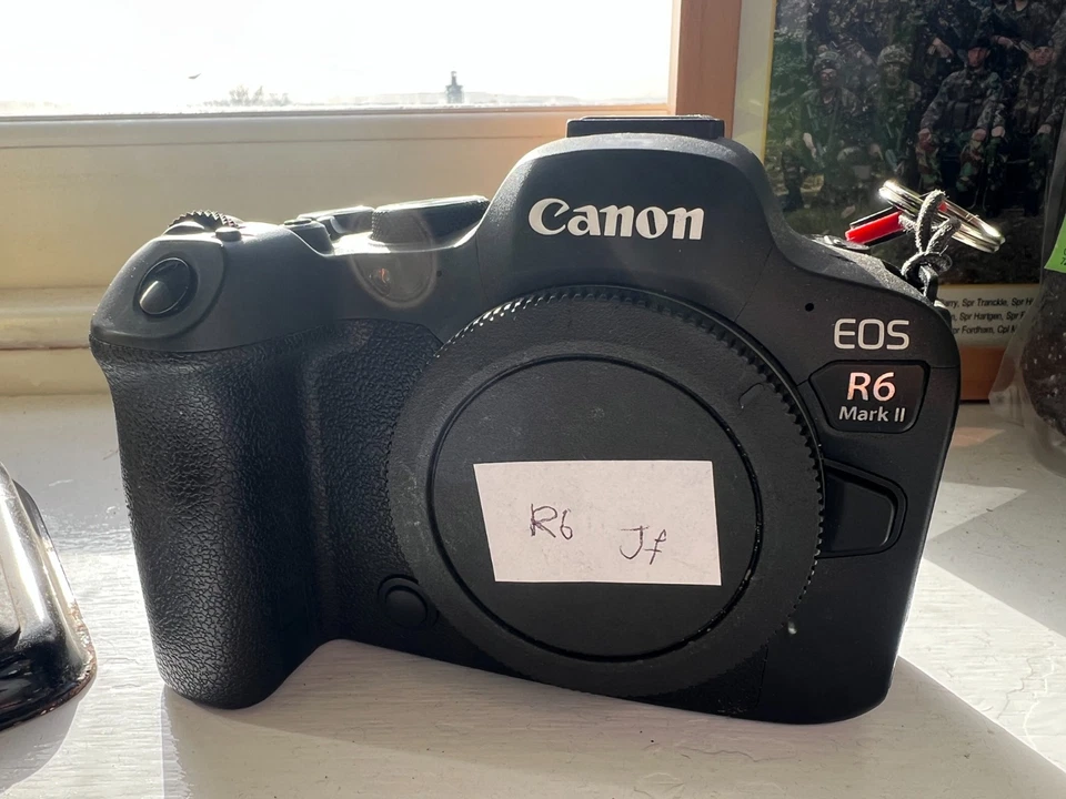 Canon EOS R6 Mark II, photo 4 of 5