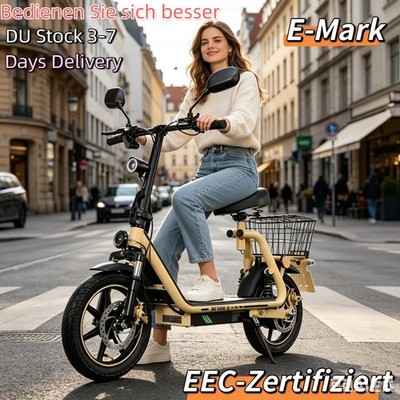 HOT Neu 14'' Elektroroller 48V13AH E-Scooter mit Straßenzulassung & EEC Ebikes DU