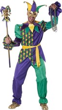 Deluxe Mardi Gras Jester Clown Harlequin Fancy Dress Up Halloween Adult Costume