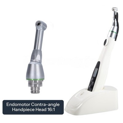 Dental Cordless LED Endo Motor Reciprocating / 16:1 Contra Angle Head ASkeadnt