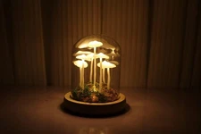Hand-Made Original Night Light/Cute Night Light/Gift Light/Handmade lamp (USB...