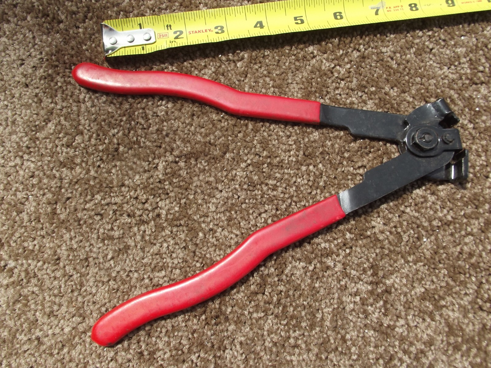 Picture 5 of 5