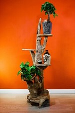 Scala per fiori in radica tavolo per fiori teak legno massello decorazione radice