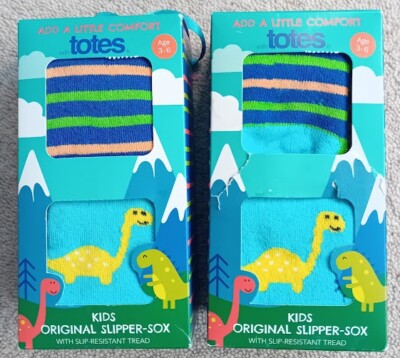 Dinosaur Childrens Totes Slipper Socks Boxes Of Pairs Totes Kids