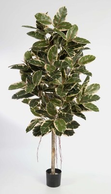 artplants Künstlicher Gummibaum Devi, 174 Blätter, weiß - gelb - grün, 180cm