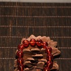 Foto 9 di 9