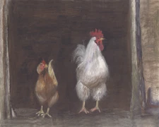 Hen, Rooster, Limited Edition Print, Animal Art